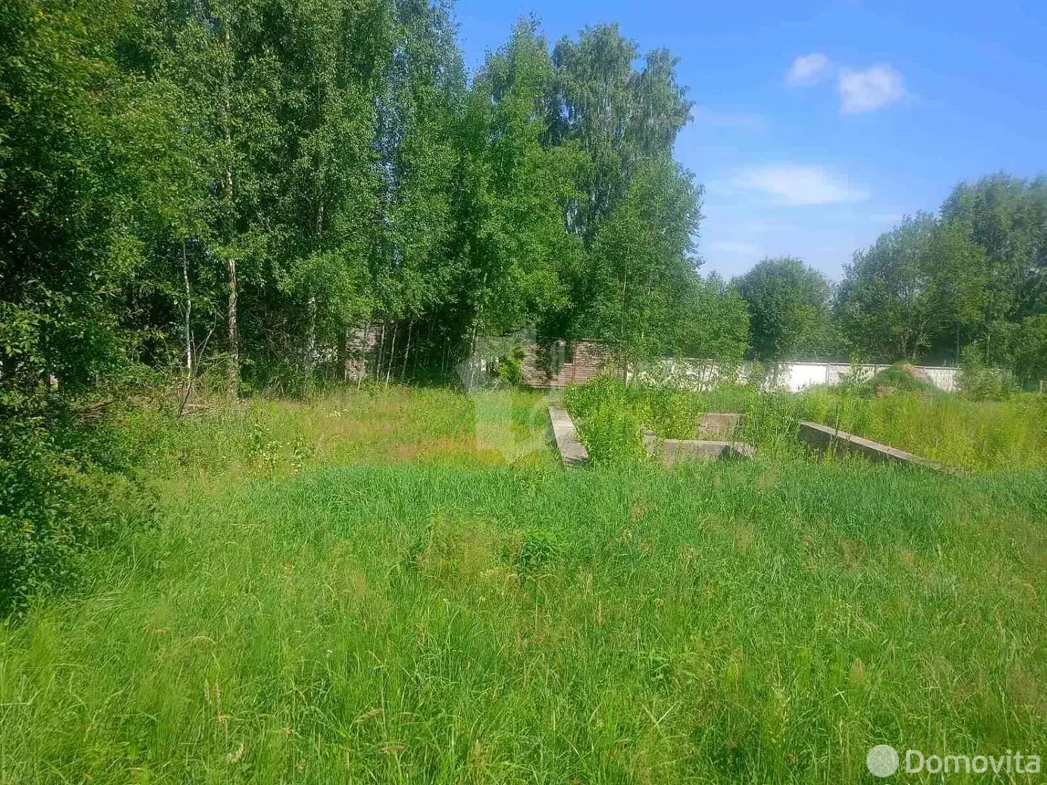 Купить земельный участок, 25 соток, Суринты, Минская область, 56563BYN, код 572542 - фото 17
