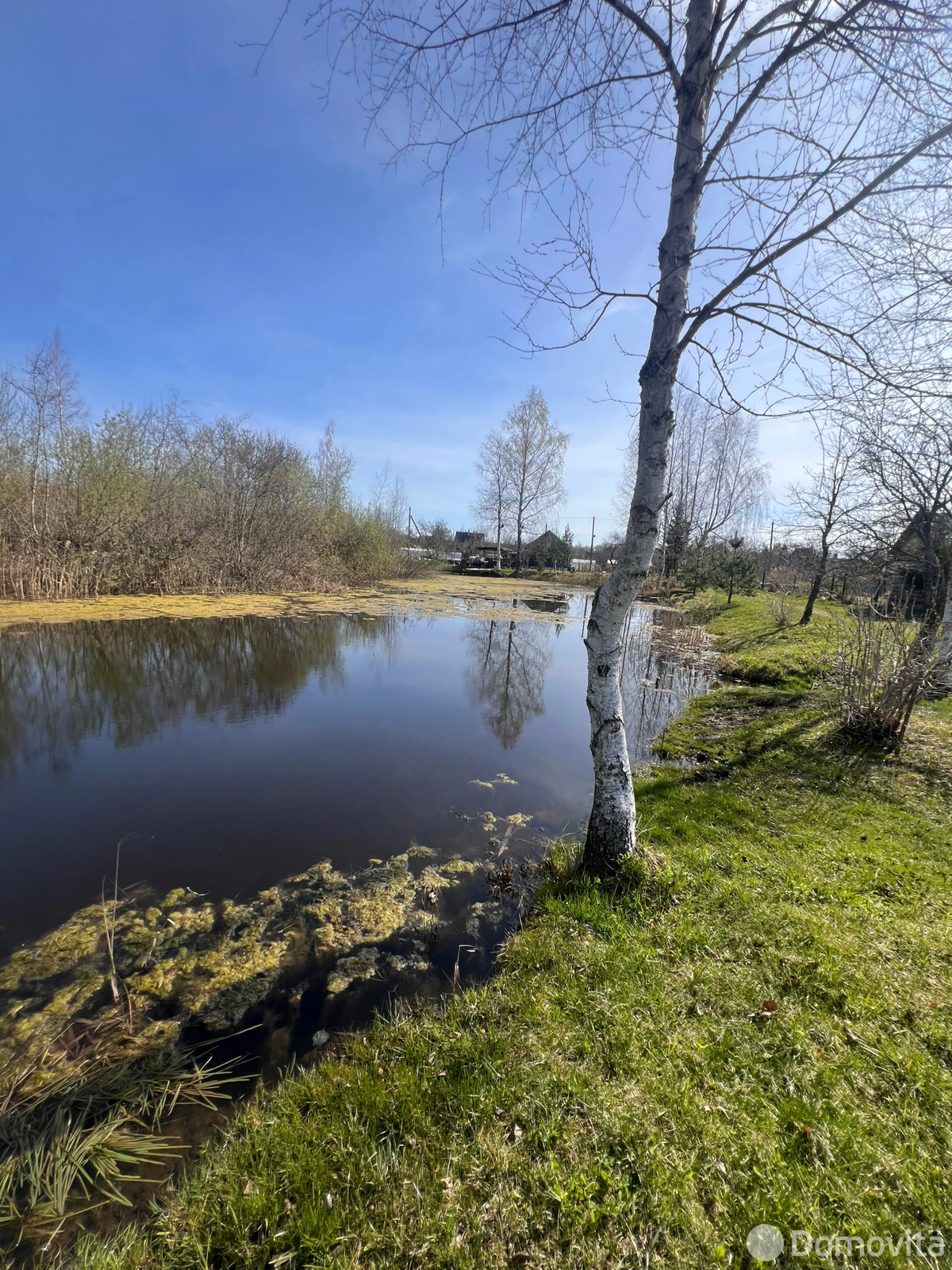 Купить 1-этажную дачу в Зароновка-1 Витебская область, 5700USD, код 185617 - фото 29