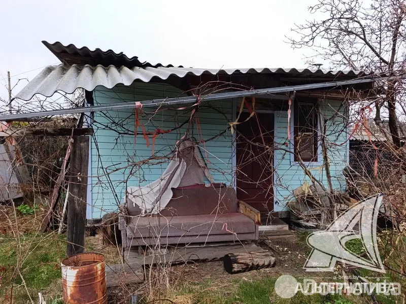Купить 1-этажную дачу в Здоровье 2008 Брестская область, 15500USD, код 185353 - фото 22