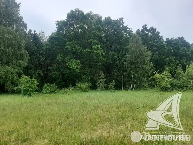 Стоимость продажи участка, Цветотрон, 