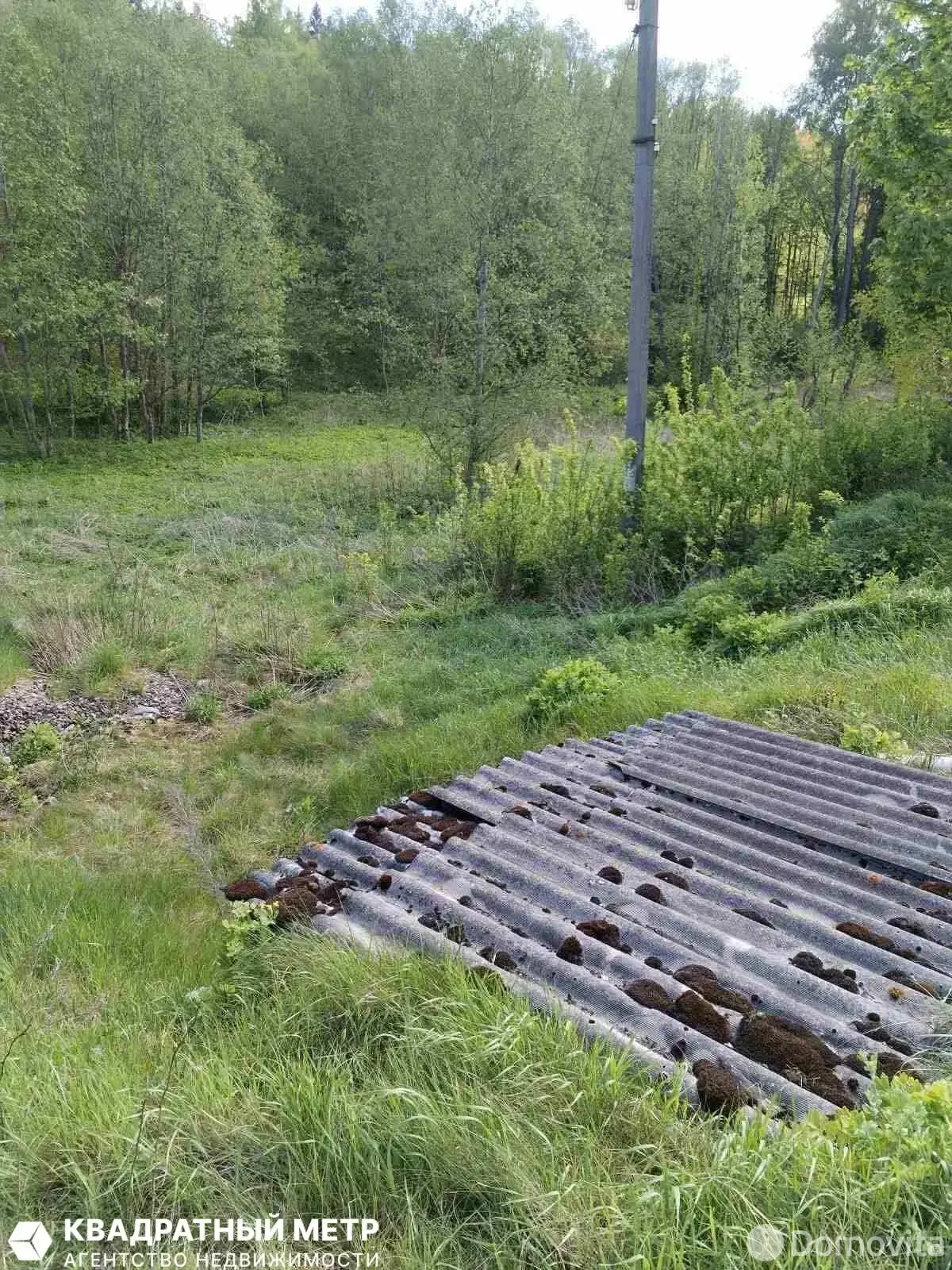 дом, Вязынка, ул. Гурновичи 