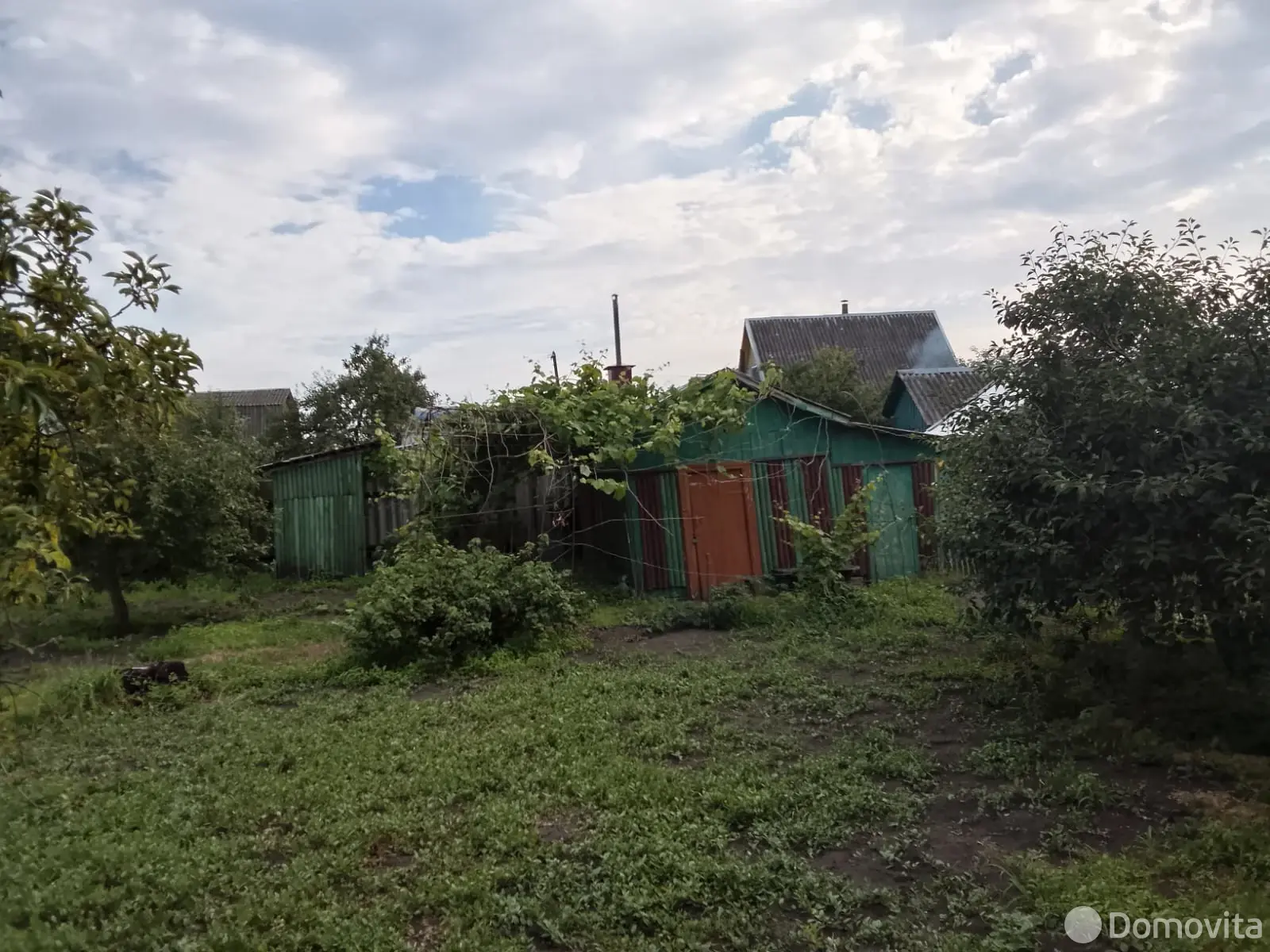 дача, Ромашка, - лучшее предложение