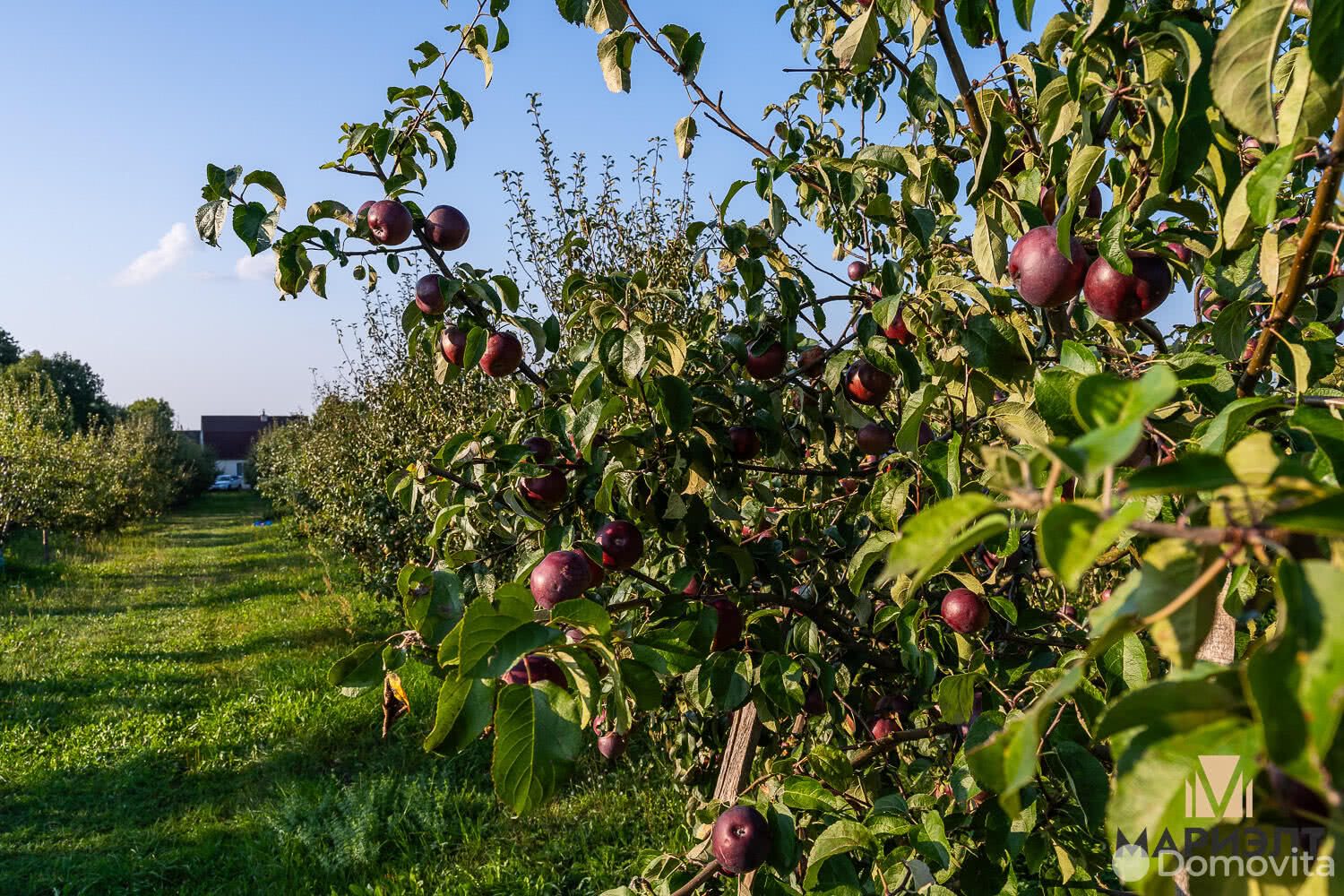 продажа дома, Жирмоны 1, ул. Центральная