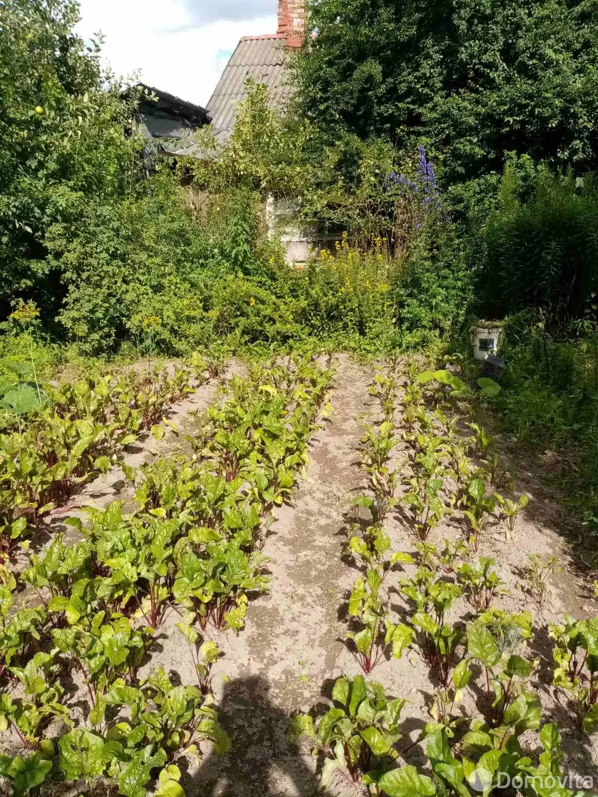 Стоимость продажи участка, Орша, пер. Климента Тимирязева