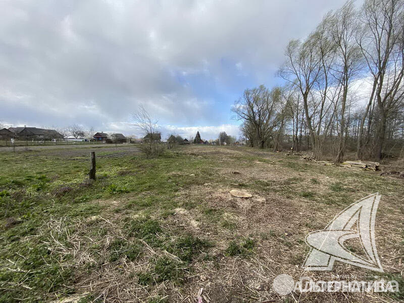 Купить земельный участок, 25 соток, Новосады, Брестская область, 17700USD, код 558035 - фото 14