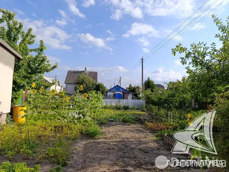 Продажа 1-этажной дачи в Факел Брестгазоаппарат Брестская область, 17000USD, код 183689 - фото 21