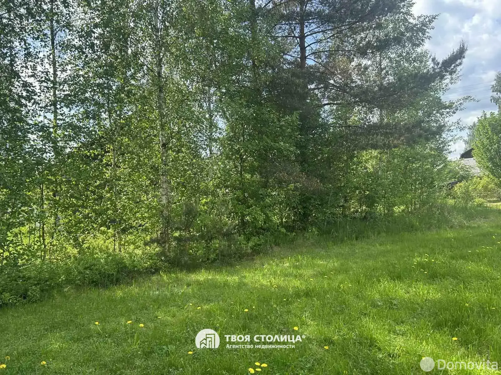 Купить 1-этажную дачу в Мостище Минская область, 40000USD, код 185959 - фото 18