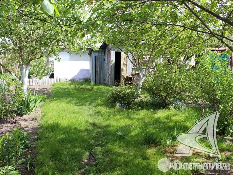 Купить 1-этажную дачу в Южное-ГАП №5 Брестская область, 27000USD, код 161940 - фото 16