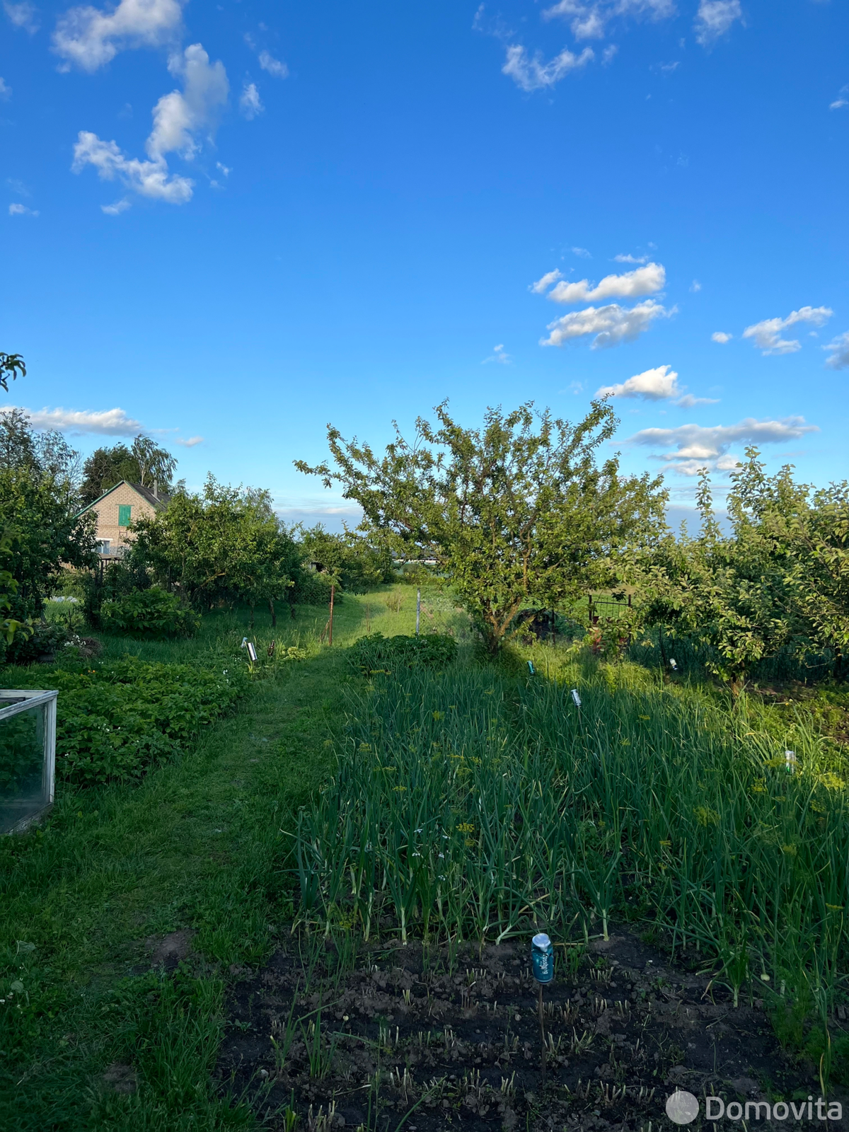 Продажа 1-этажной дачи в Преснаках Минская область, 13500USD, код 183548 - фото 12