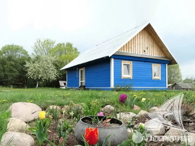 дом, Пашуки,