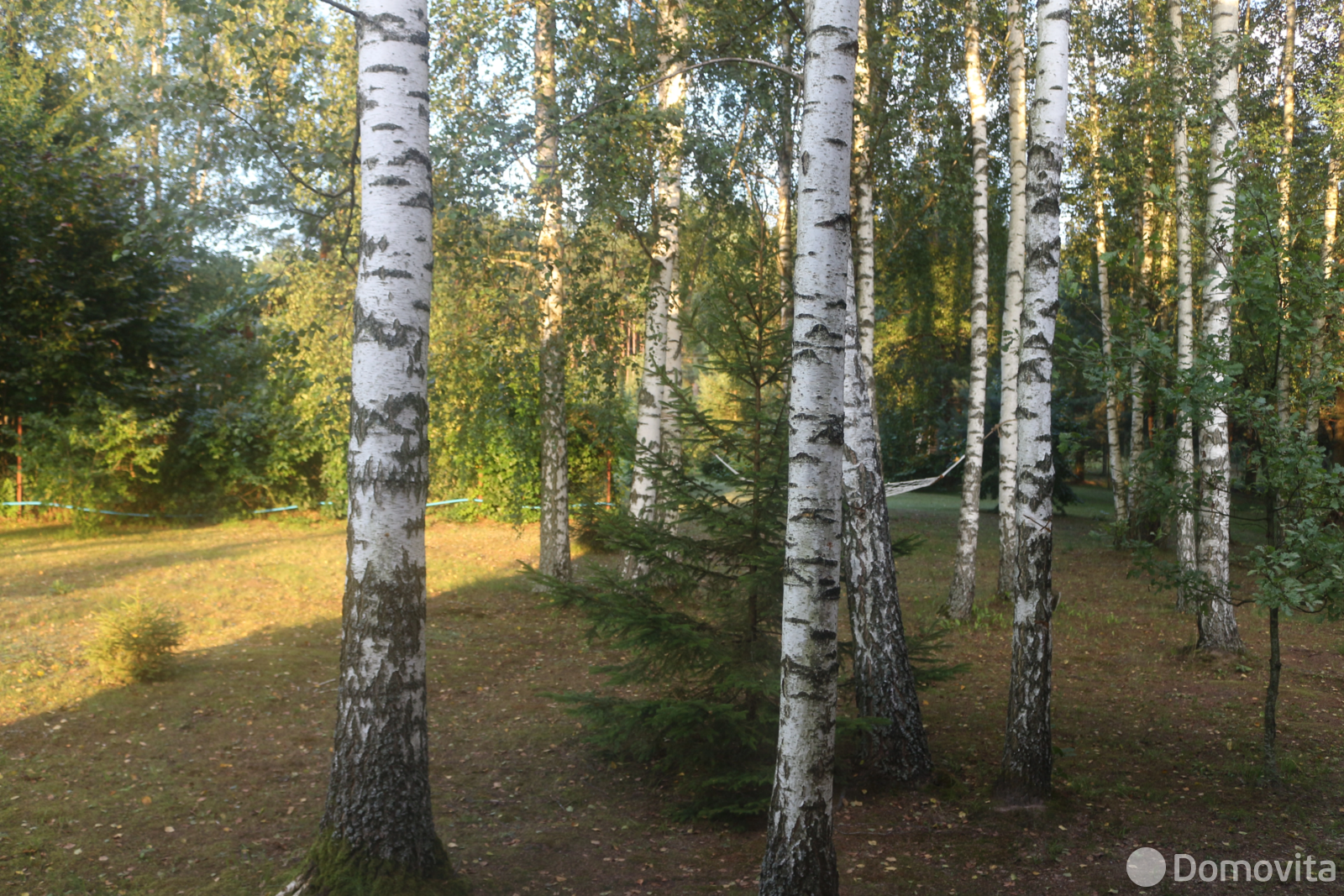 Аренда коттеджа Уютный дом в тихом месте на сутки в Новая Усса , 900BYN, код 1413 - фото 21