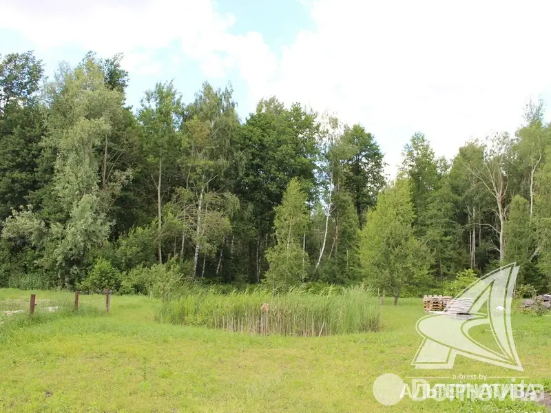 Купить 1-этажную дачу в Астра Гродненская область, 54000USD, код 183142 - фото 26