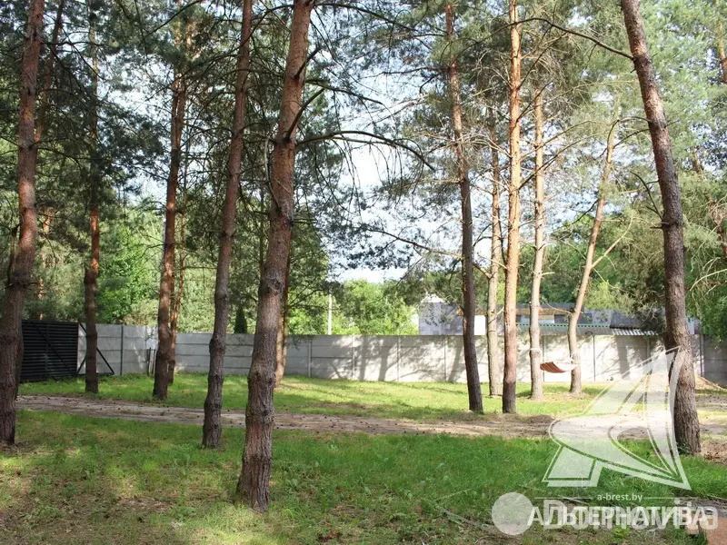 Купить 1-этажную дачу в Амарилис-92 Брестская область, 119000USD, код 177507 - фото 18