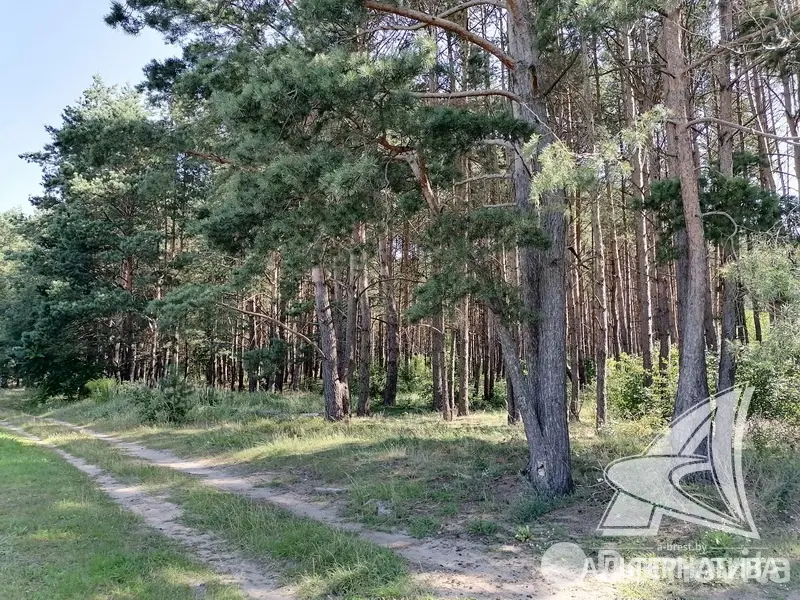 Продажа 2-этажной дачи в Леснянка Брестская область, 27000USD, код 165253 - фото 28