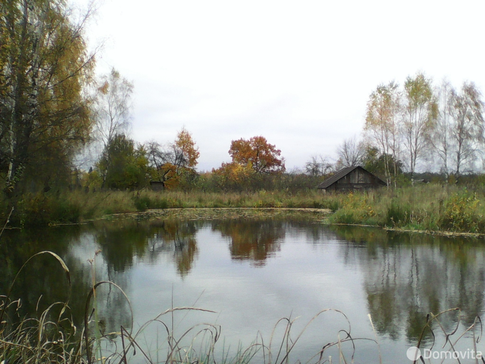 дом, Ольсевичи, - лучшее предложение