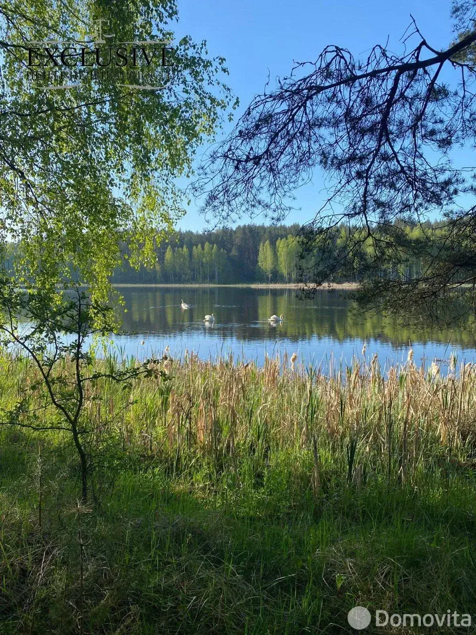 Купить 1-этажную дачу в Ива-1988 Минская область, 38000USD, код 185228 - фото 18