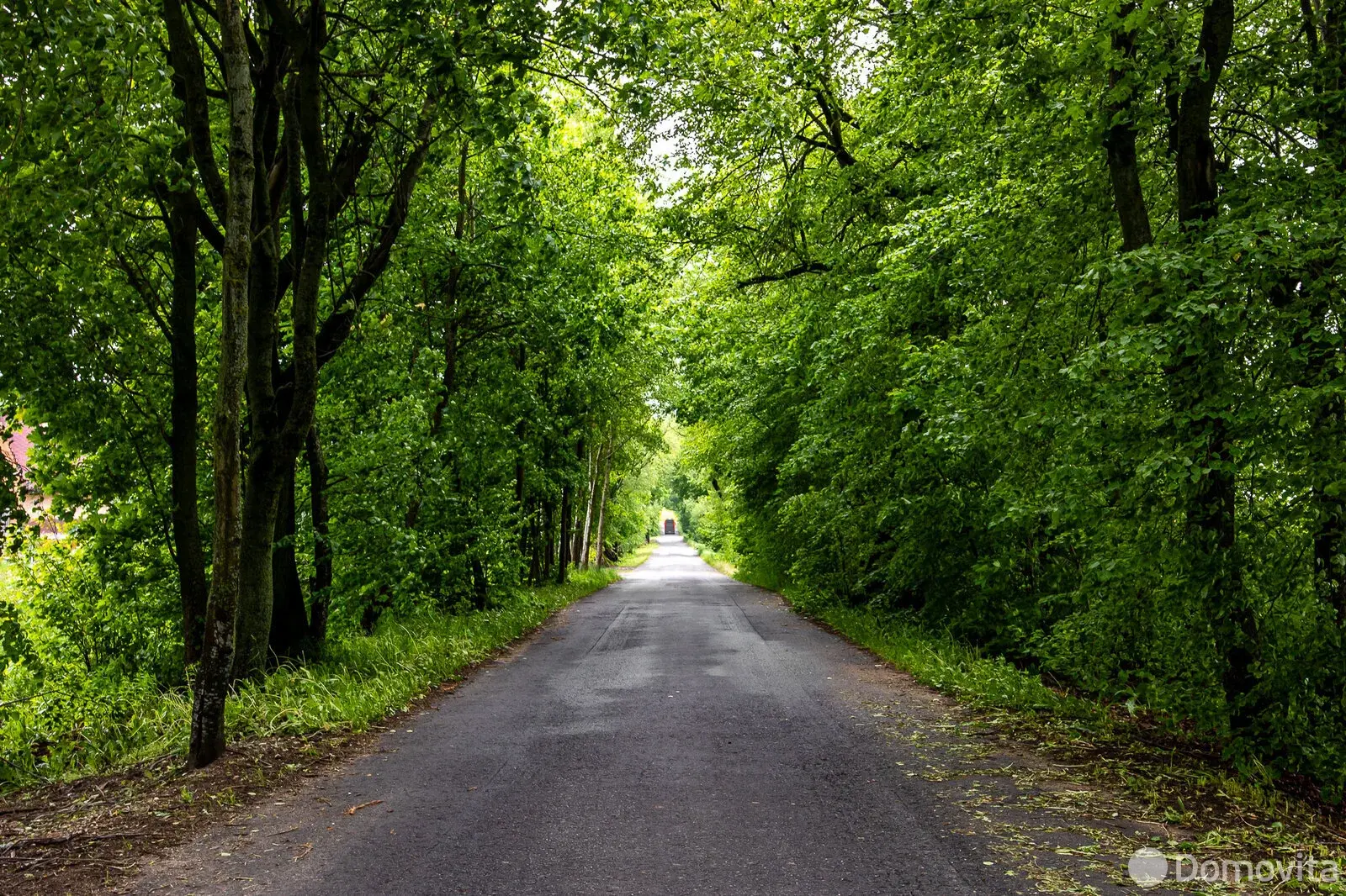 Купить земельный участок, 12.56 соток, Дукора, Минская область, 33500USD, код 570450 - фото 14
