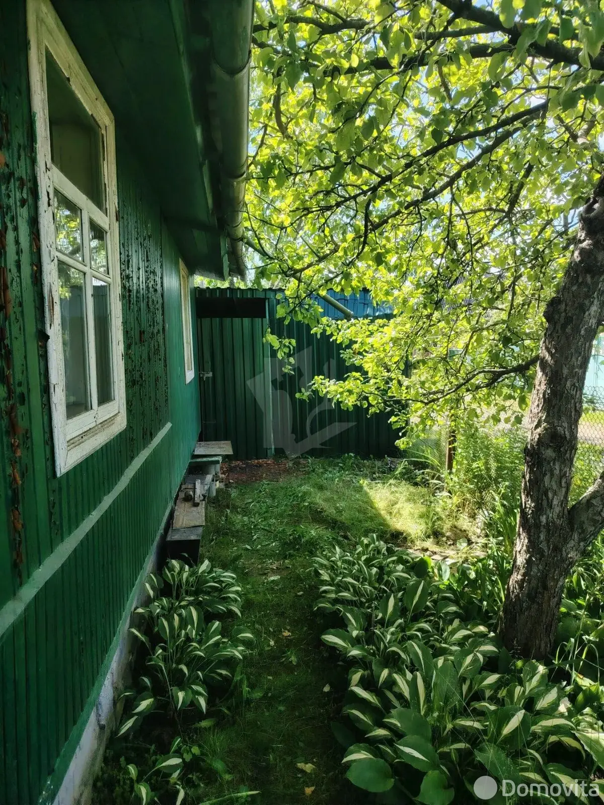 дача, Комсомолец, 