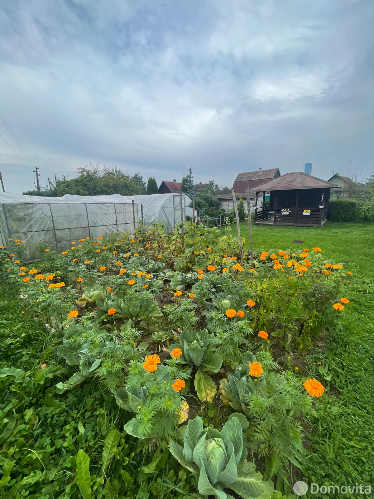 дача, Колосок, 