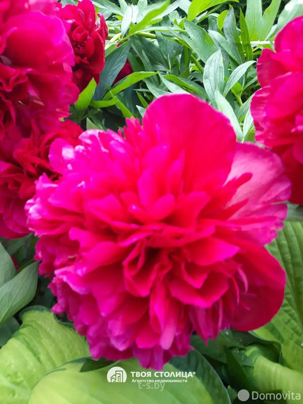 Купить 2-этажную дачу в Юхновке Минская область, 55000USD, код 181716 - фото 32