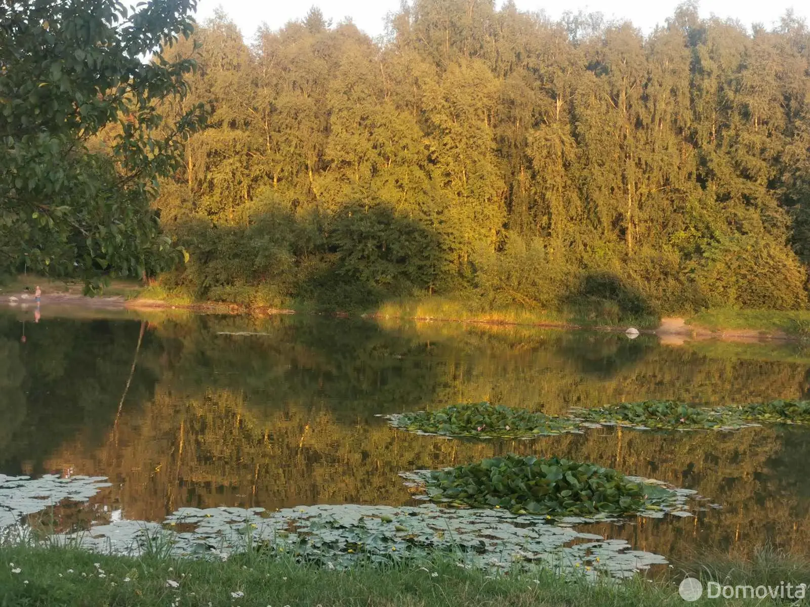 дача, Новики-2, 