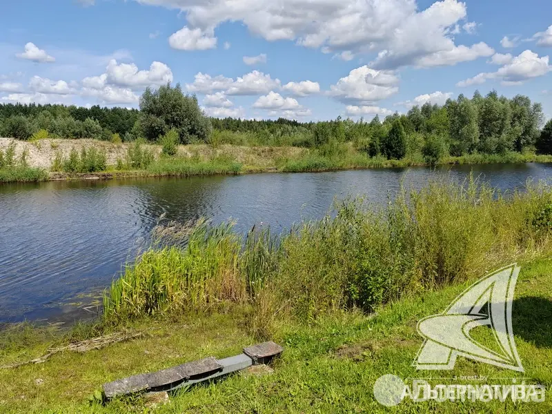 Продажа 1-этажной дачи в Ивушка-91 Брестская область, 29900USD, код 183592 - фото 21