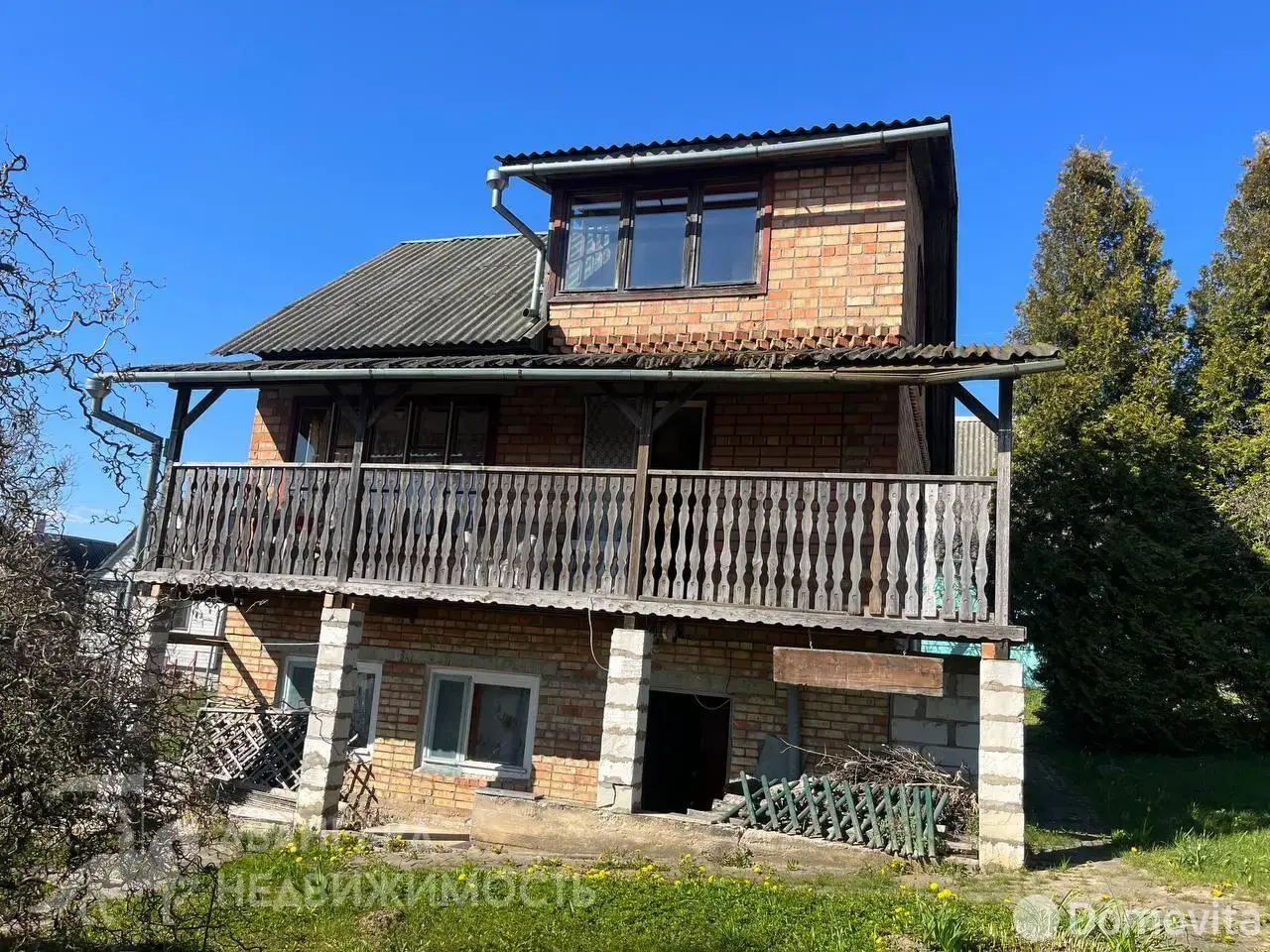 дача, Ромашка Соломореченская, 