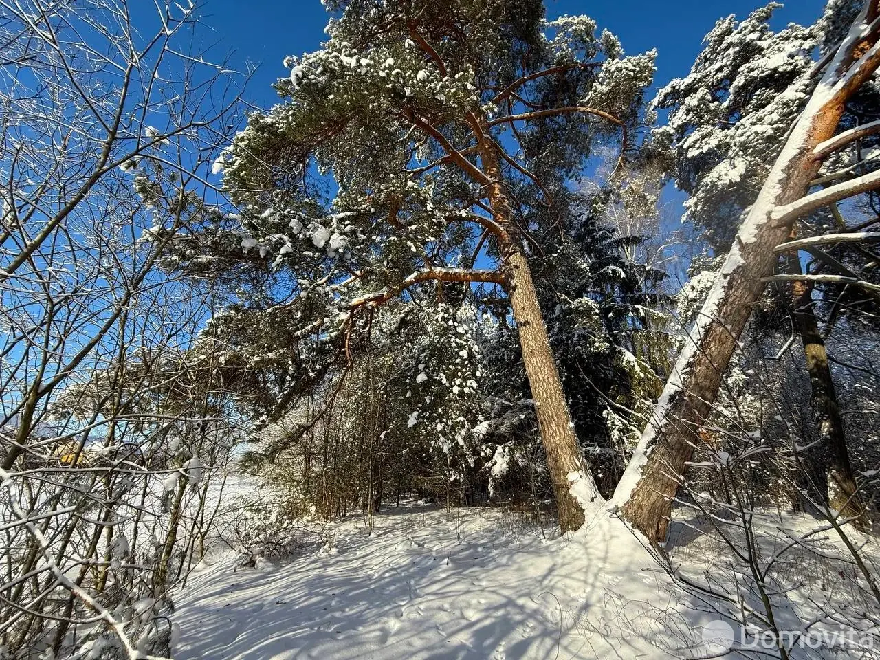 Купить земельный участок, 15 соток, Каралино, Минская область, 65000USD, код 571590 - фото 20