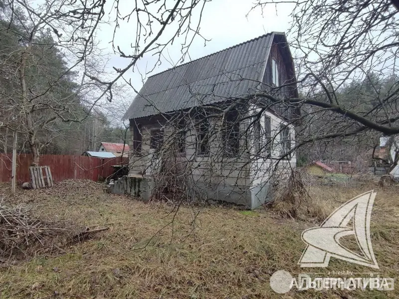 Купить 1-этажную дачу в Чернинский Родничок Брестская область, 14900USD, код 184251 - фото 2
