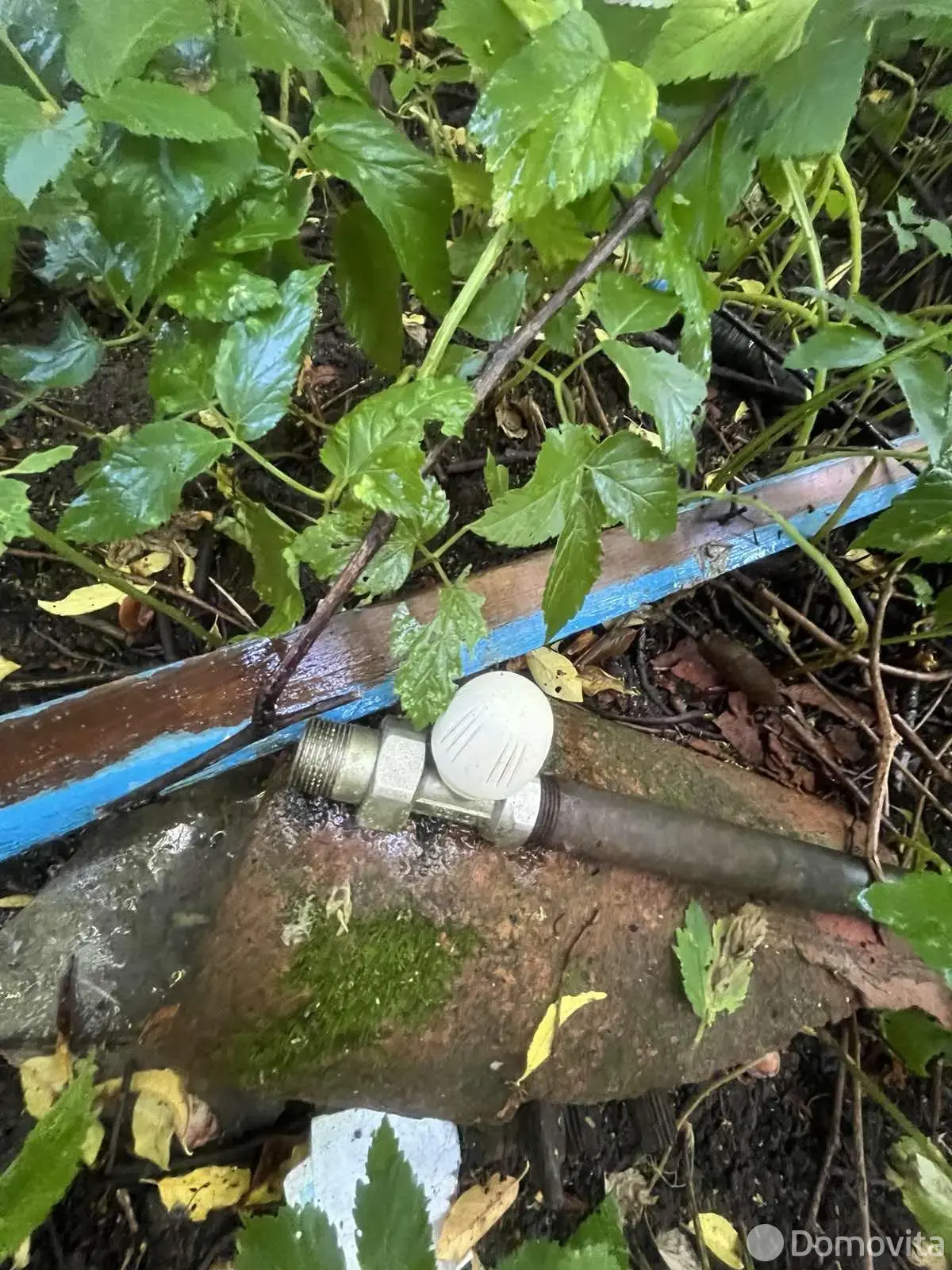 Купить 1-этажную дачу в Горное Минская область, 93000BYN, код 186633 - фото 14