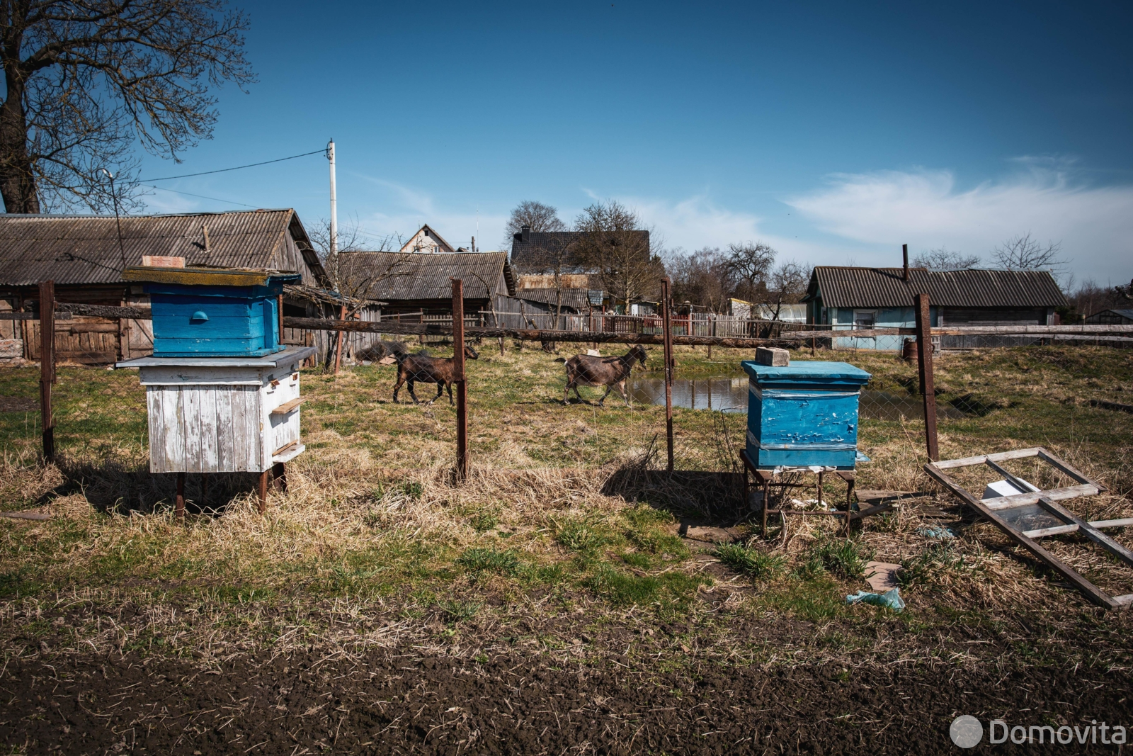 участок, Казеково, ул. Центральная 