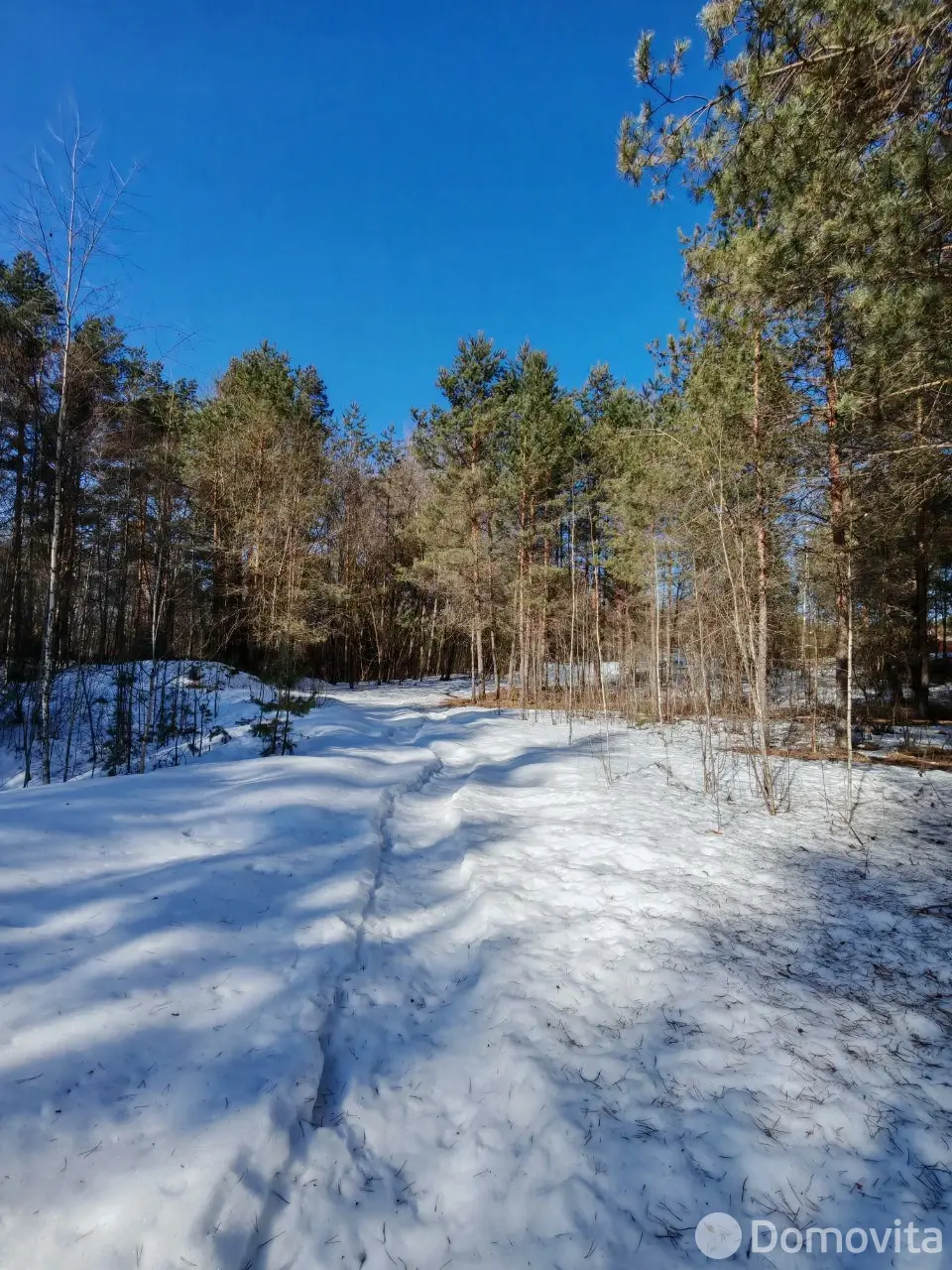 Цена продажи участка, Вишневый сад Витебского района, 