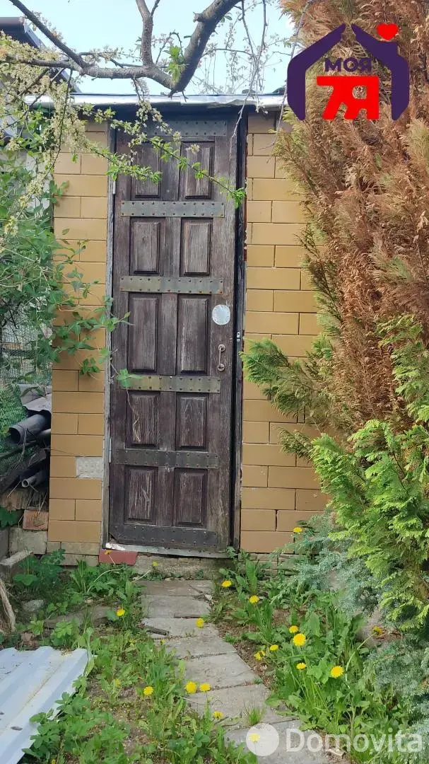 дача, Ель, 