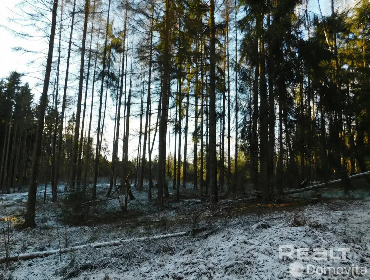 купить офис, Задомля, 
