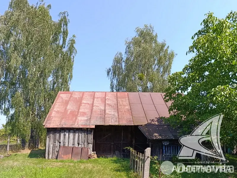 участок, Урожай ОАО Брестхлебопродукт, 