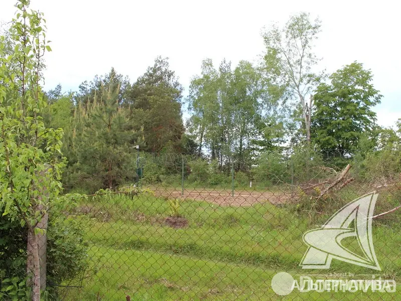 Купить 2-этажную дачу в Прибужье Брестская область, 25000USD, код 182895 - фото 27