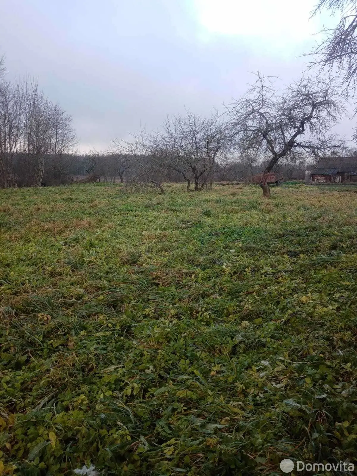 купить дом, Крулевщина, ул. Советская, д. 3