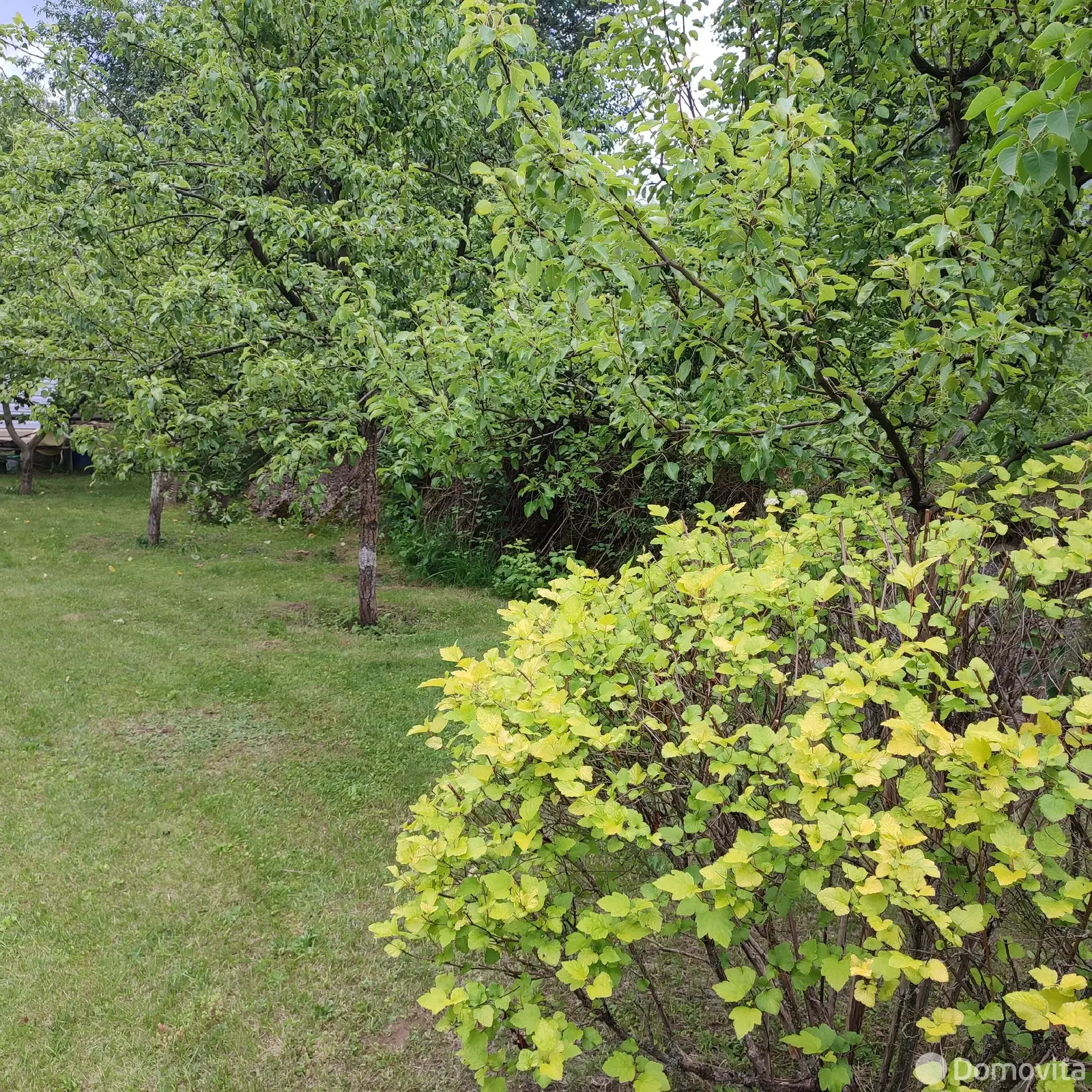 дача, Факел Воложинский район, 