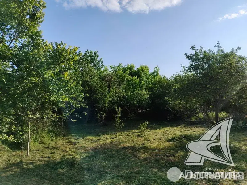 дом, Чемери 1,