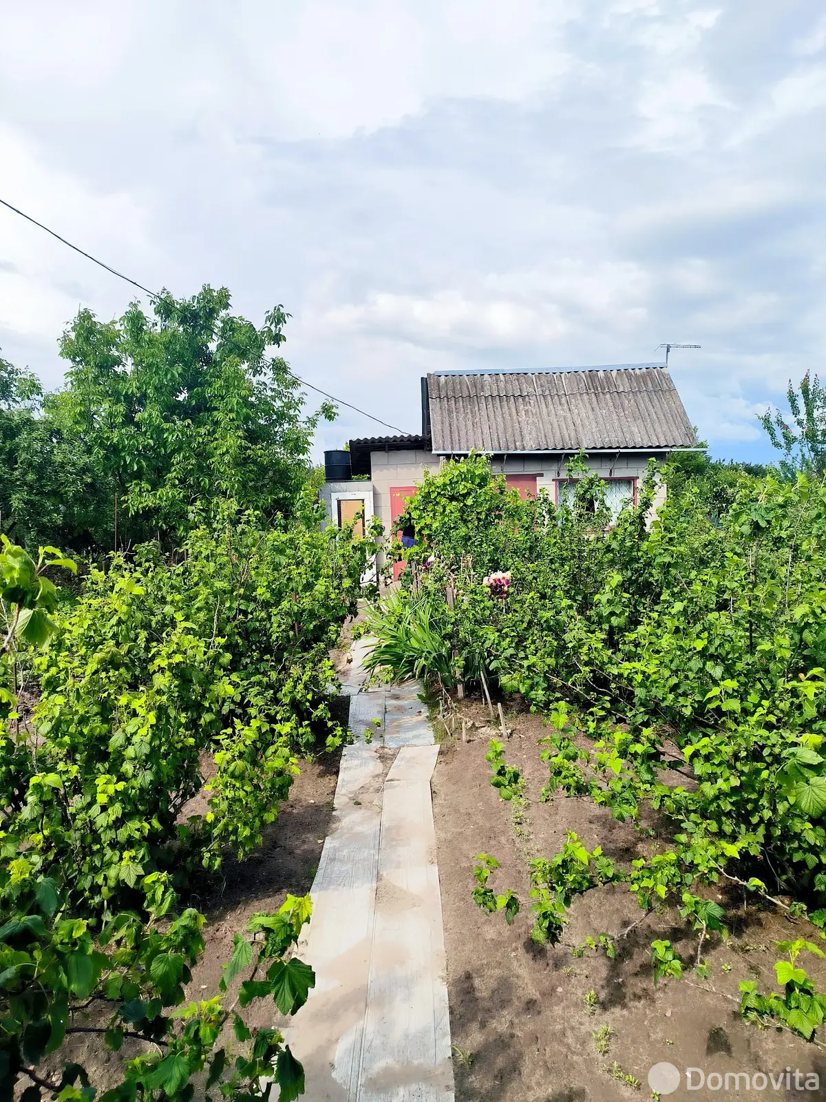 дом, Особино, д. 63, стоимость продажи 11 344 р.