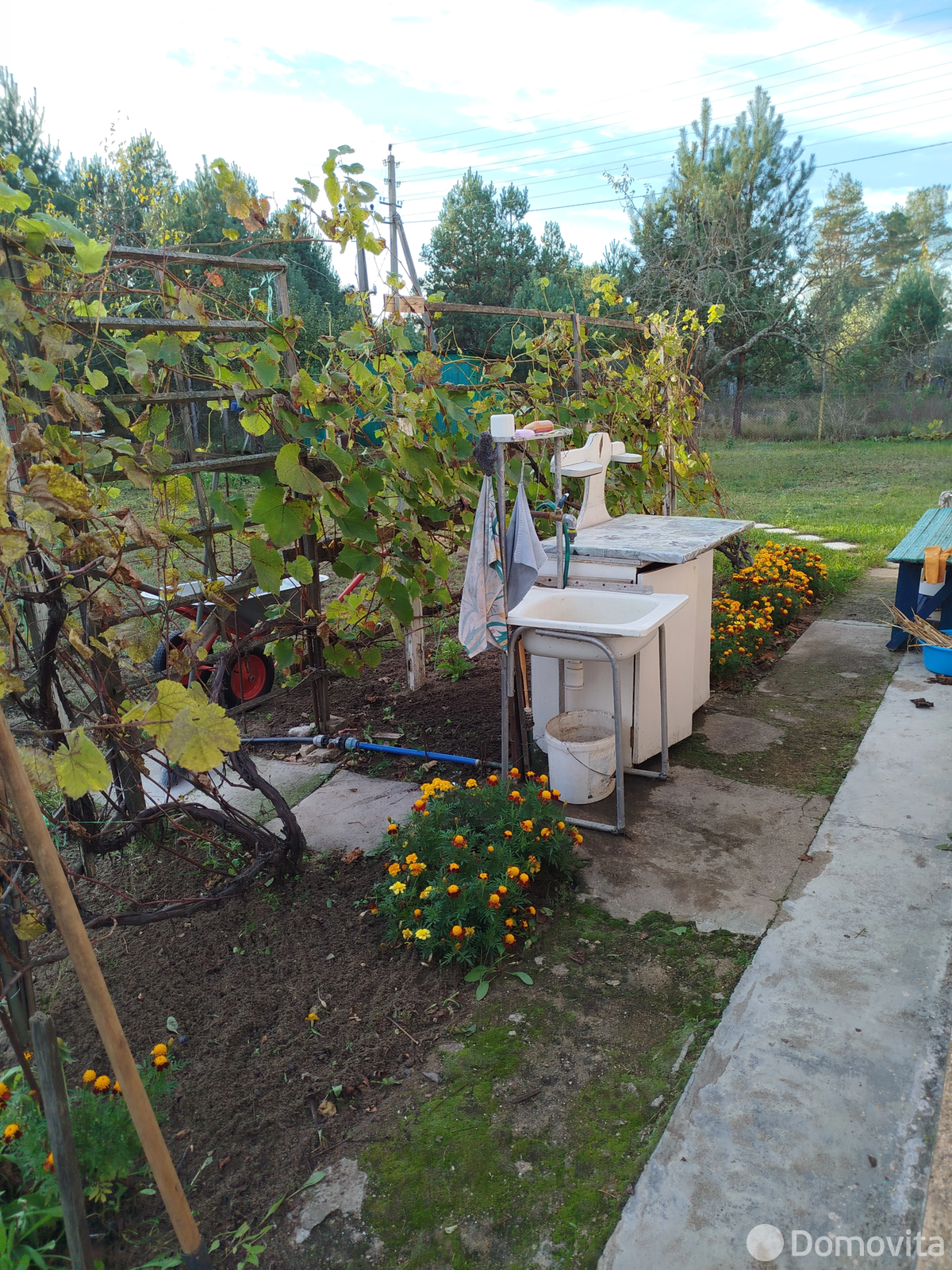 Продажа 2-этажной дачи в Таль Минская область, 14500USD, код 182218 - фото 28