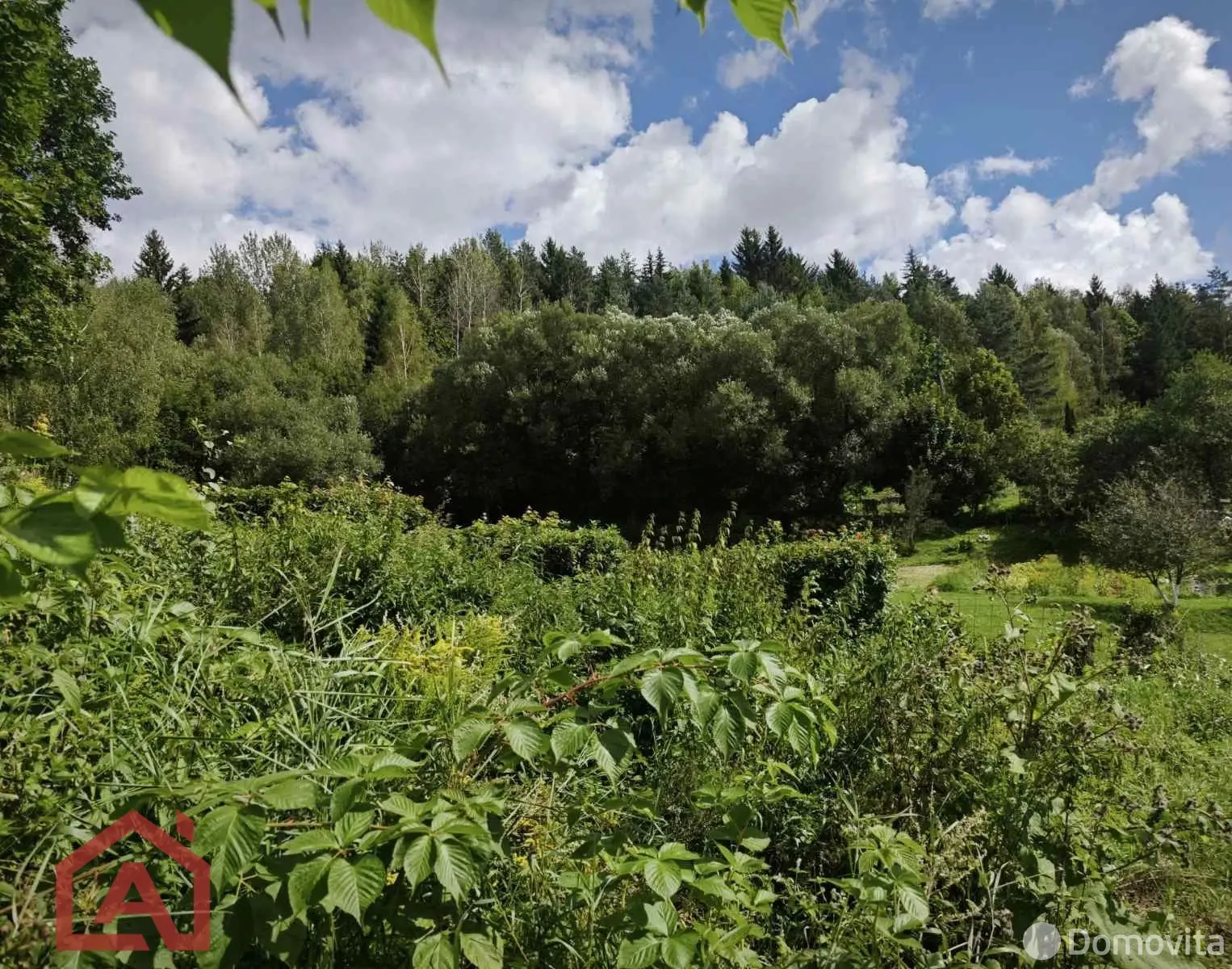 Купить земельный участок, 24.92 соток, Мончаки, Минская область, 54990USD, код 570913 - фото 26