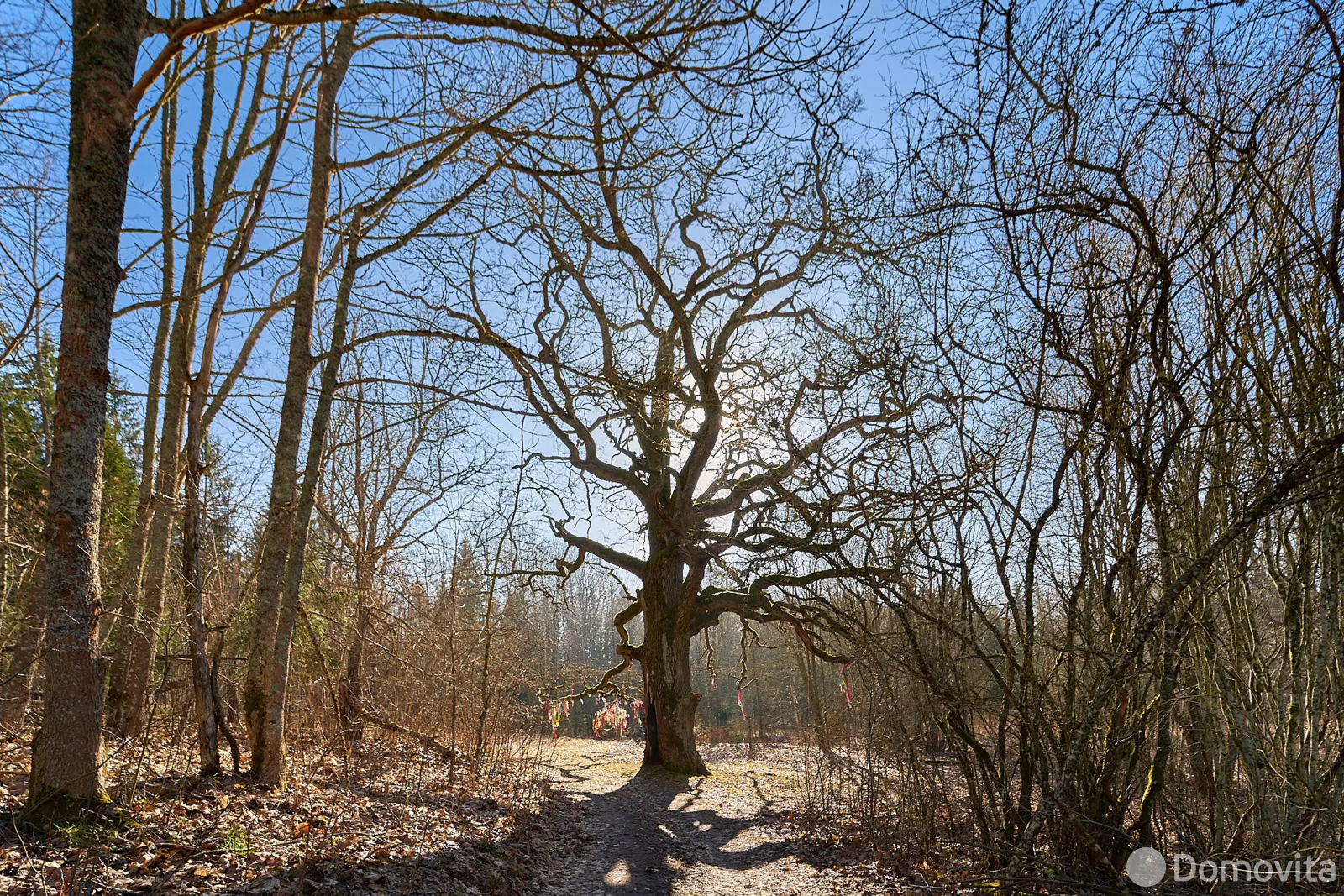 Цена продажи участка, Карпиловка, 