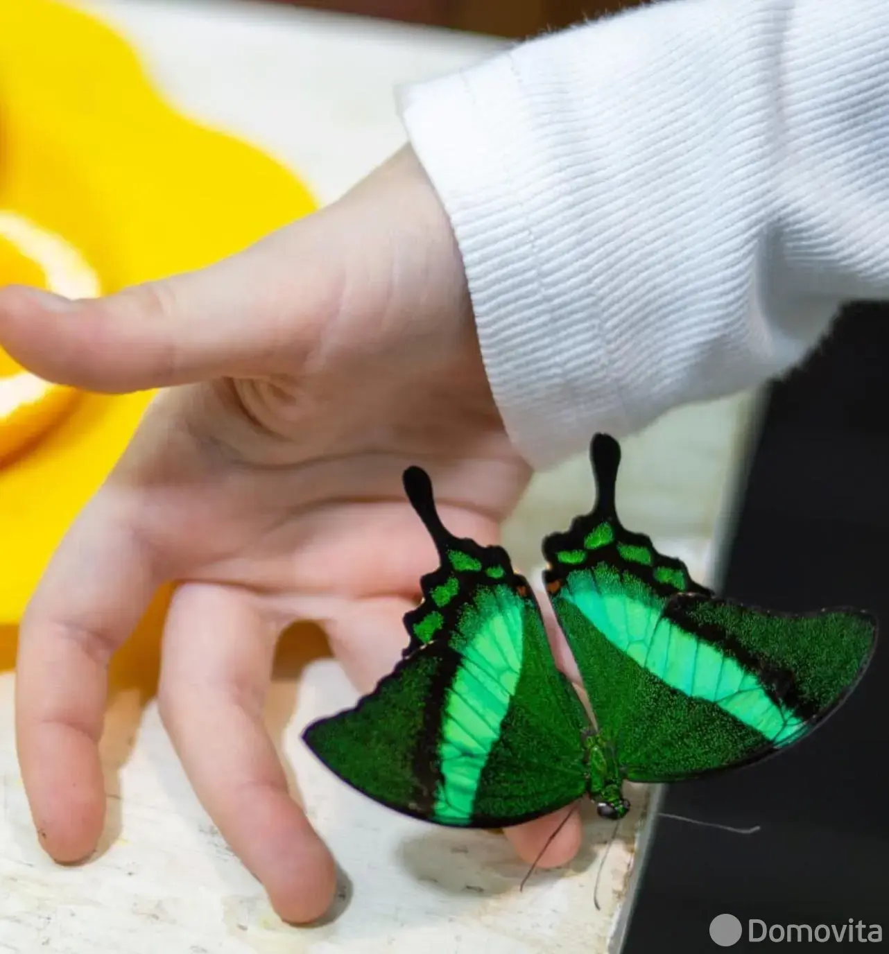 Купить помещение под сферу услуг в Минске, ул. Кирилла Туровского, д. 16 - фото 36