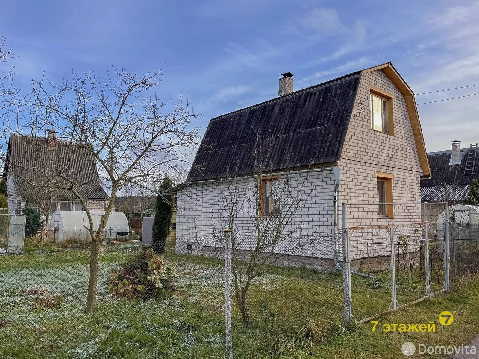 дача, Шарик, 