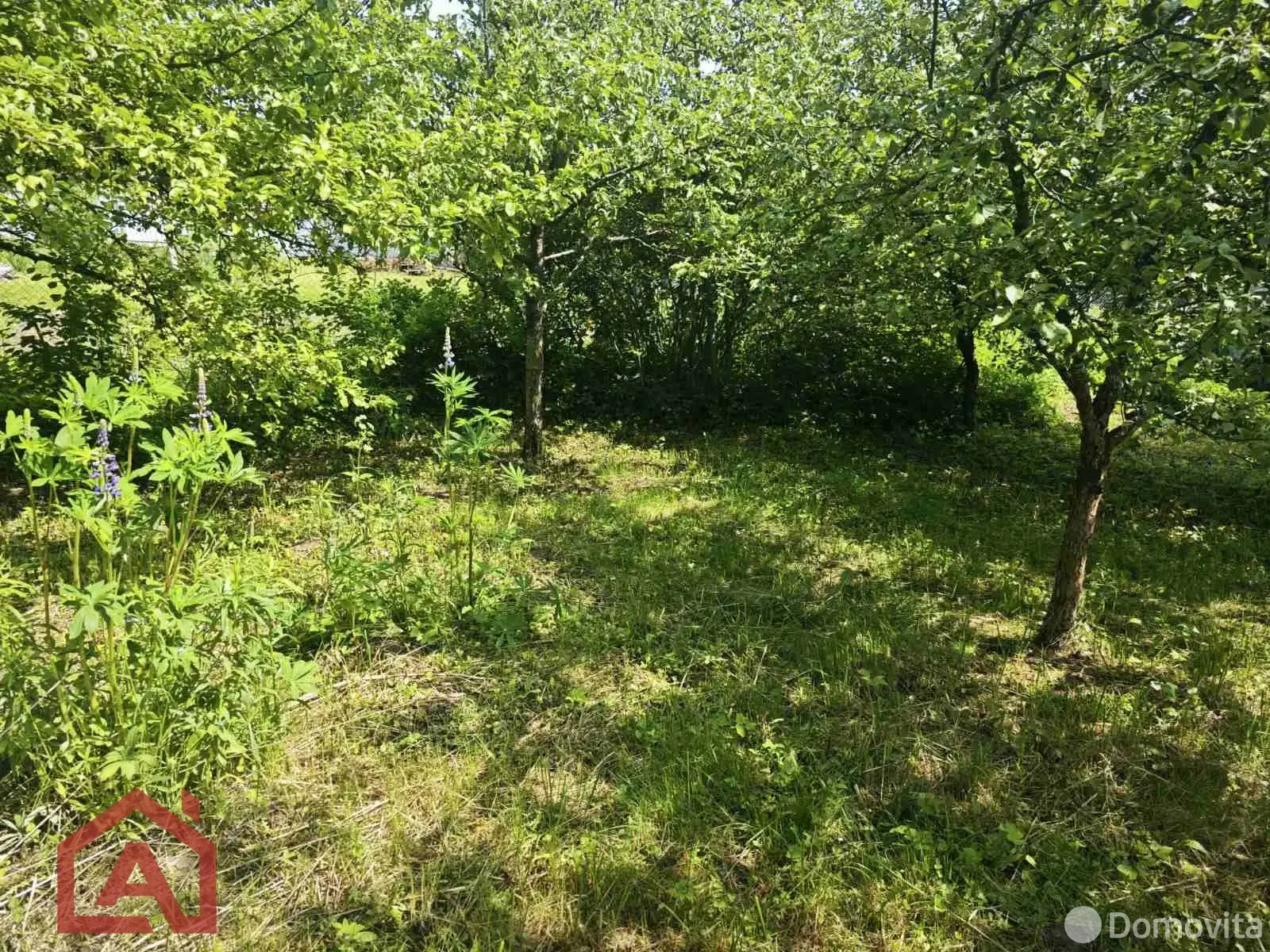 участок, Поляна, 