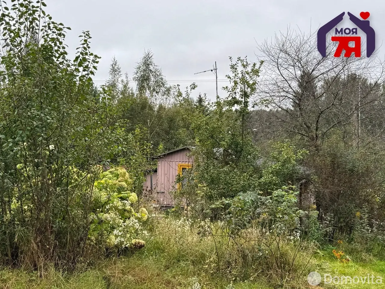 Купить 1-этажную дачу в Минская область, 7500USD, код 184432 - фото 11