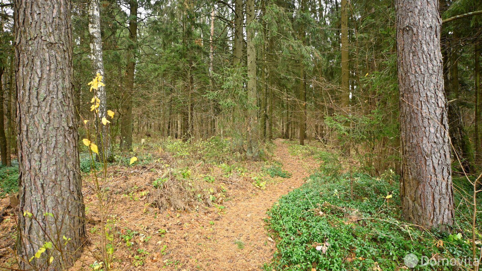 Продажа 1-этажной дачи в Родник-Рыбхоз Минская область, 15500USD, код 180670 - фото 20