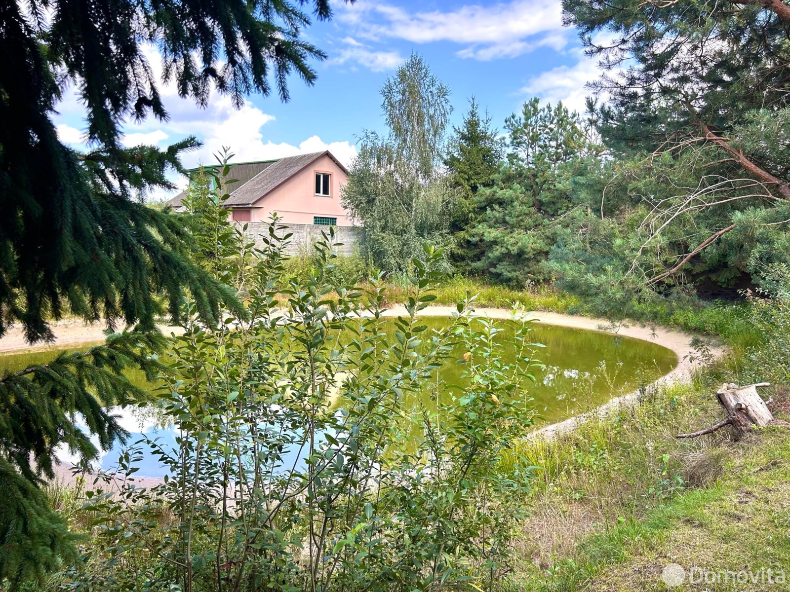 дом, Большие Лепесы, 