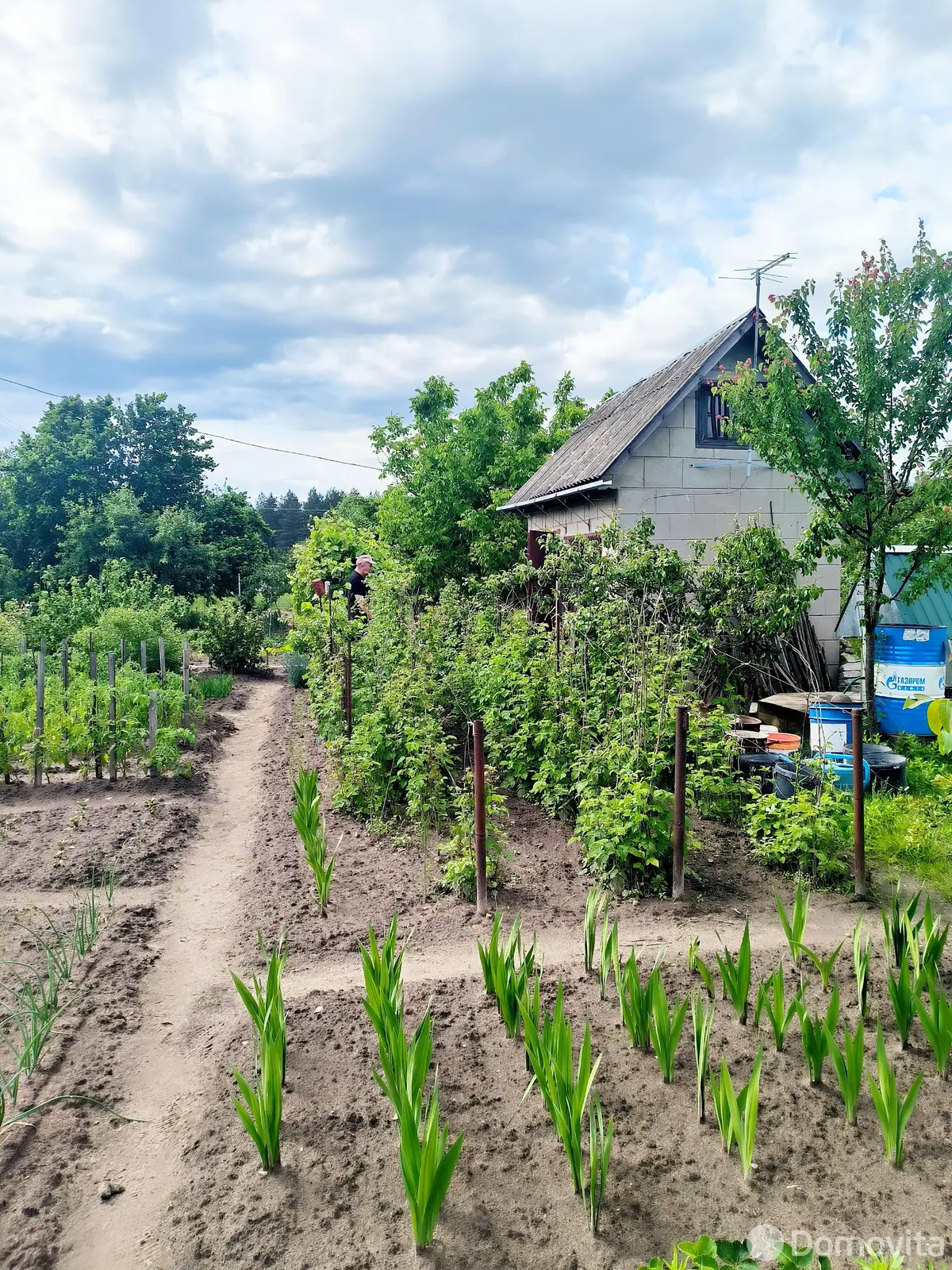 дом, Особино, д. 63, стоимость продажи 11 344 р.